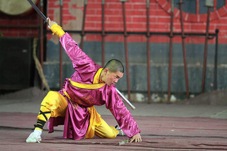Martial artist training at one of the Twelve Great Schools (photo by larique http://www.flickr.com/photos/larique/)
