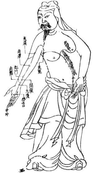 acupuncture_chart_300px.jpg
